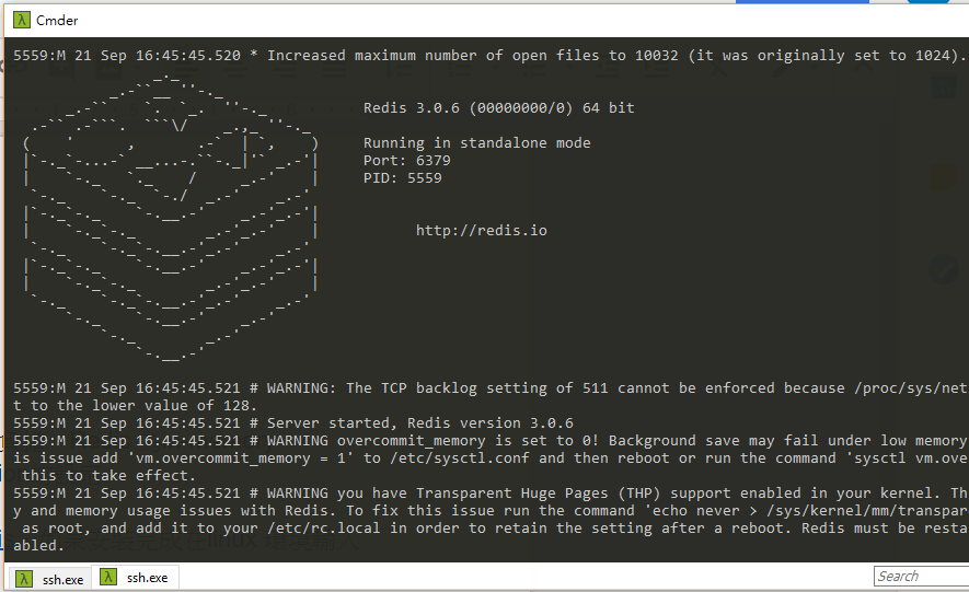 在Magento上設定Redis 01